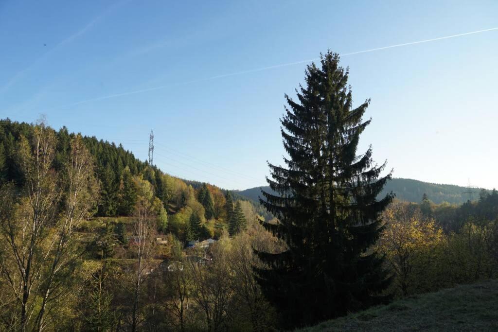 Ferienhaus Hellaberg Langenbach  المظهر الخارجي الصورة